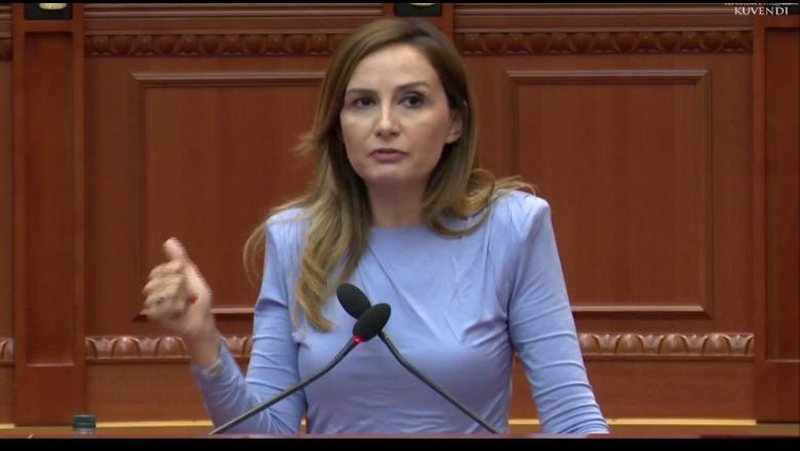 Berisha e nxiu Shqipërinë në Bruksel, Tabaku i bën avokaten: Nuk është antishqiptar, por tregoi kush krijon barriera