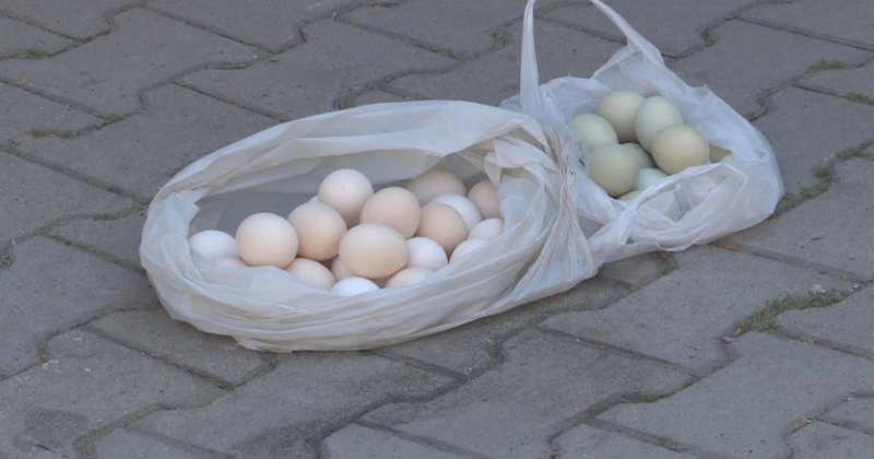Inflacioni ra në maj, por çmimet mbeten të larta për qytetarët: Veza luks për shqiptarët