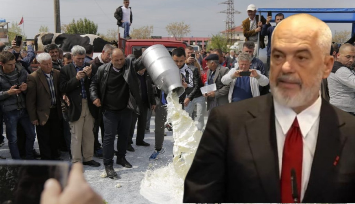 Fatura që po shteron qumështin/ Fermerët e vegjël përjashtohen nga tregu mes konfuzionit ligjor