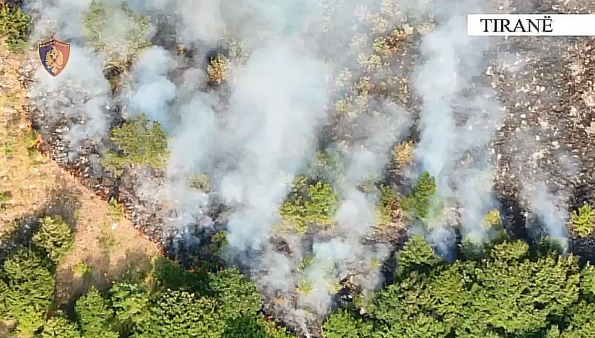 Ndezi zjarri që shkaktoi djegien e 600 hektarëve në Parkun e Dajtit, arrestohet 63-vjeçari (EMRI)