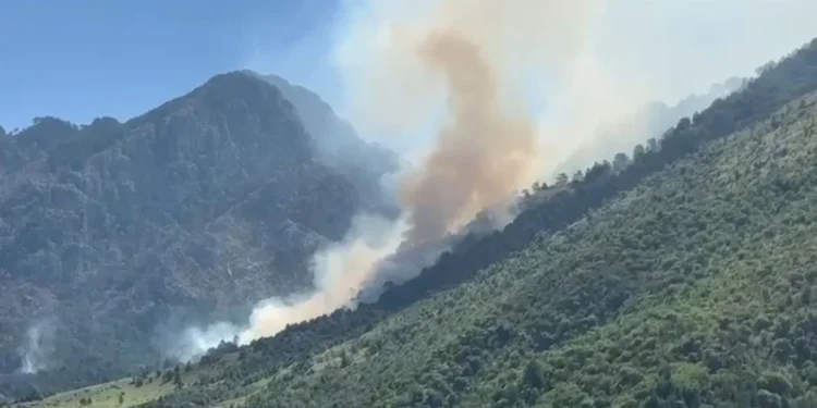 Zjarret në Shqipëri i fik shiu! Neutralizohen flakët në Korçë dhe Vlorë
