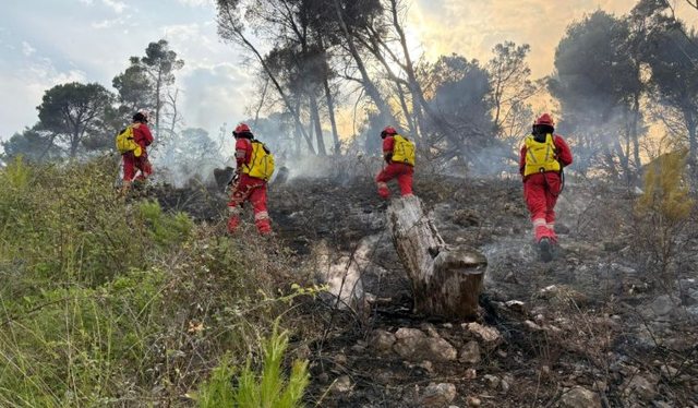 Shqipëria nën flakë: 37 vatra zjarri aktive, më kritike situata në Delvinë dhe Gramsh