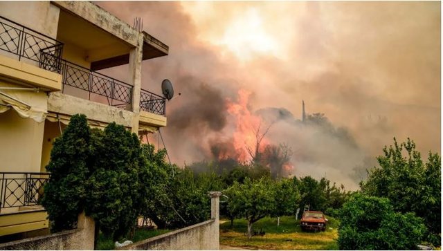 Zjarret në Ballkan: Në Greqi, qindra hektarë të djegura! Në Mal të Zi, aktive 3 vatra zjarri