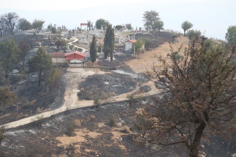 FOTO/ Kronika e 48 orëve dramatike: Flakët pushtojnë vendin! Evakuime urgjente, humbje në bagëti, banesa dhe pyje. Një viktimë në Gramsh