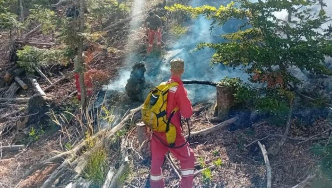 Reshjet e shiut shuajnë zjarret në Fushë Arrëz, në Vlorë drejt fikjes një vatër e vogël në fshatin Mavrov