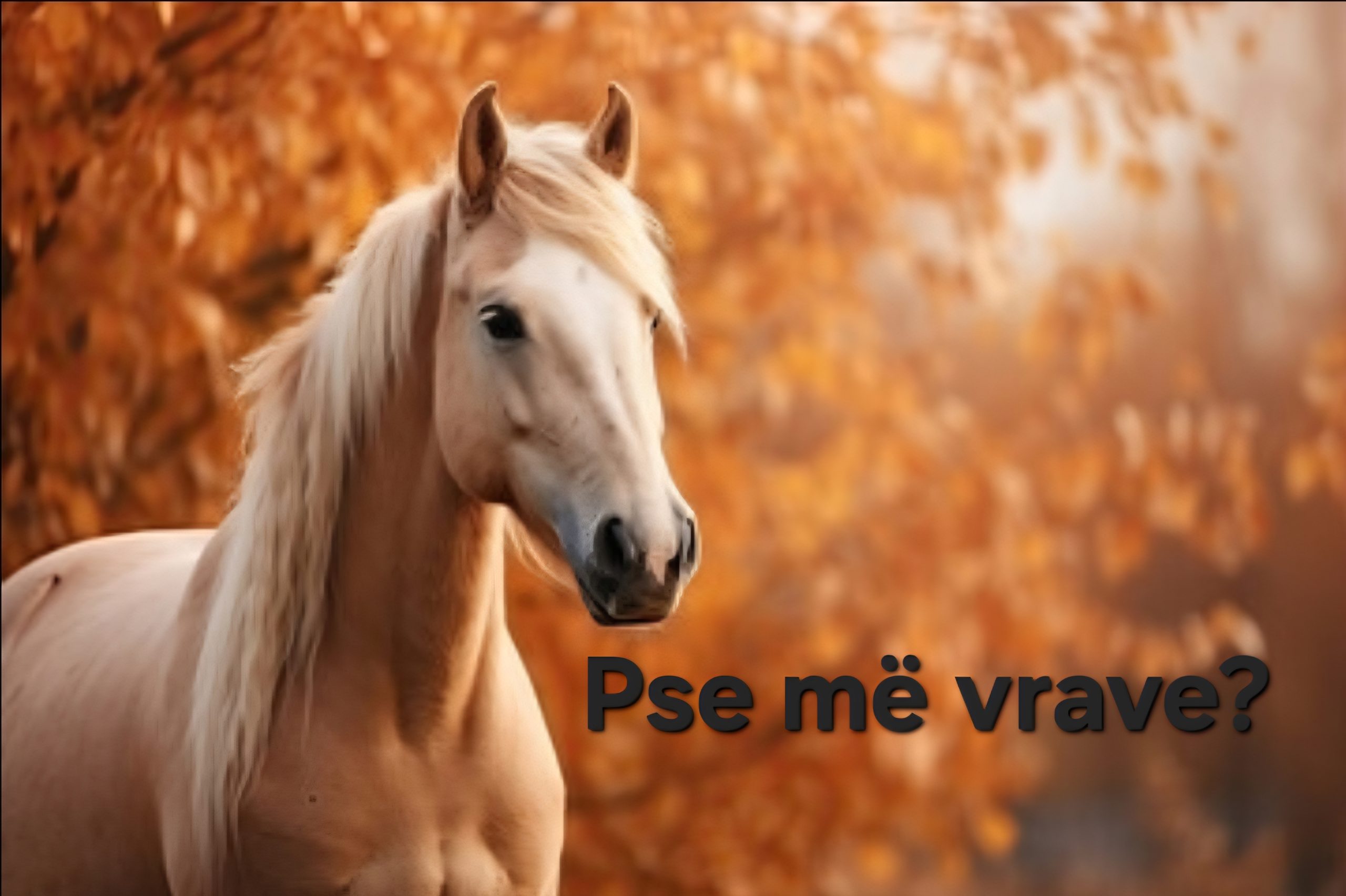 Edhe një herë për Kal-vrasësin Selfo, indinjimet nga Dukati dhe pse media duhet të jetë zëri i kuajve të lirë