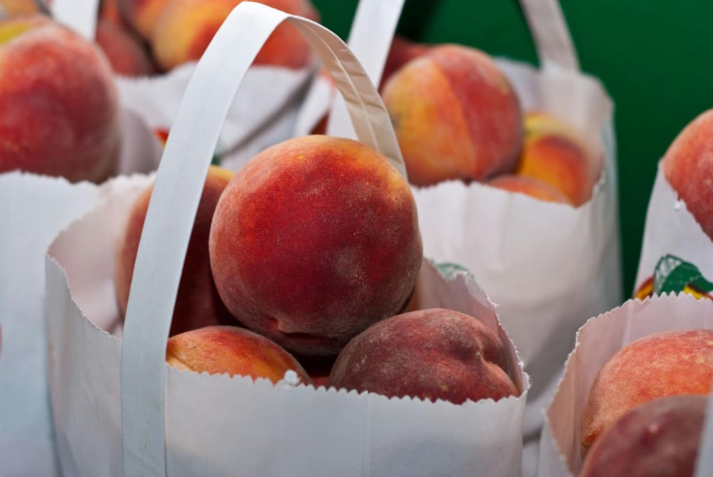 Kroacia dhe Bosnje-Hercegovina bllokuan pjeshkët me pesticide, reagon AKU: S’ka më produkt gjendje në magazinat e subjektit, 5565 kg e eksportuara u asgjësuan