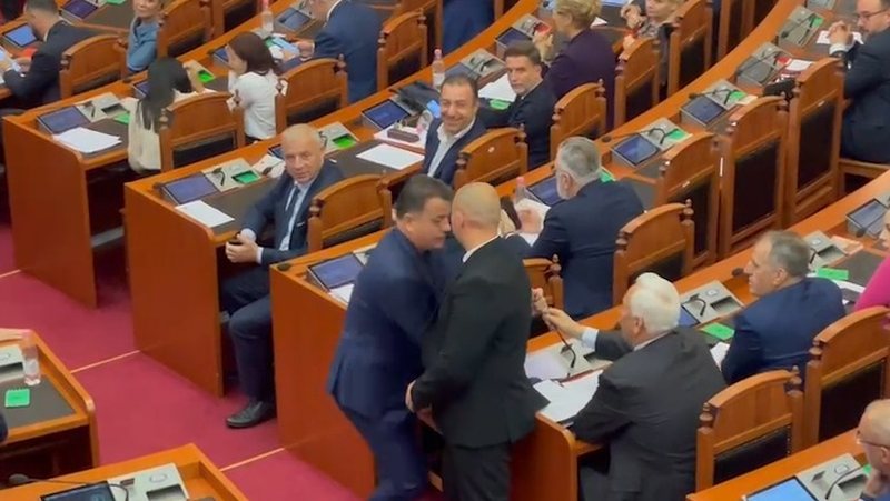 “Kush do ta kontrollojë Ramën?”, Ja pse PD nuk di të bëjë opozitë institucionale