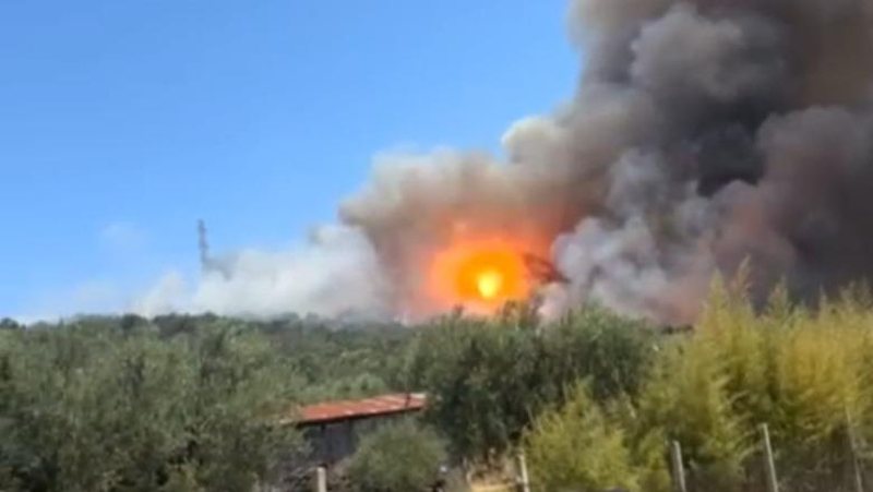 Zjarr në fshatin Bulçar të Gramshit, helikopterët ndërhyjnë për të shuar flakët
