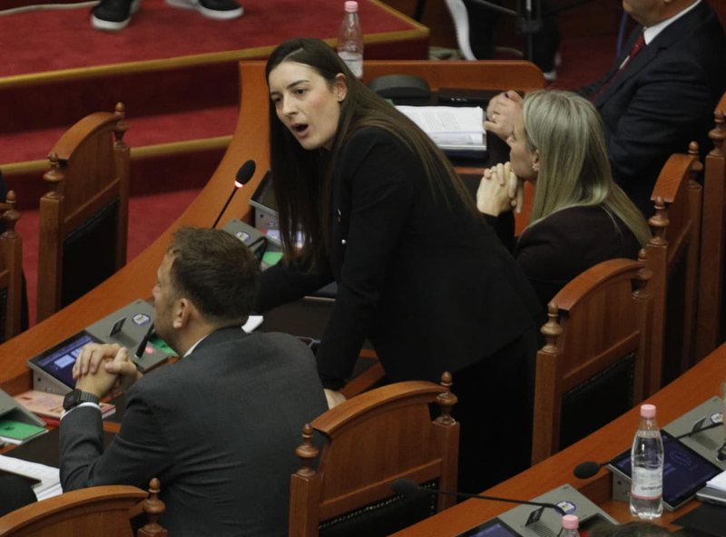 “Ua, ç’është kjo paçavure” – Zegjineja habitet nga fjalori i Flamur Nokës