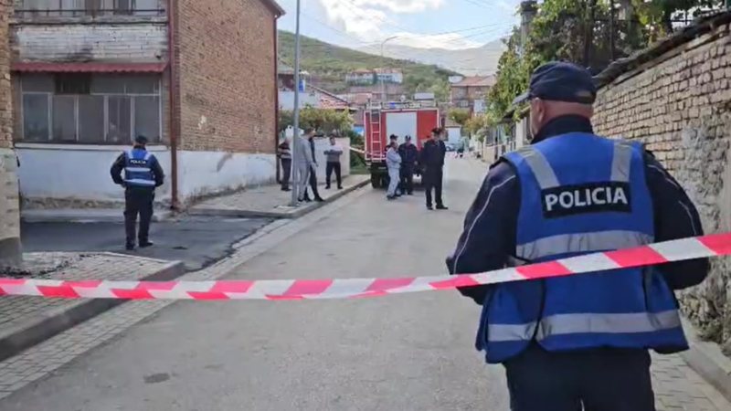 Nënë e bir humbën jetën pasi banesa u përfshi nga flakët, zbulohet shkaku i zjarrit në Maliq