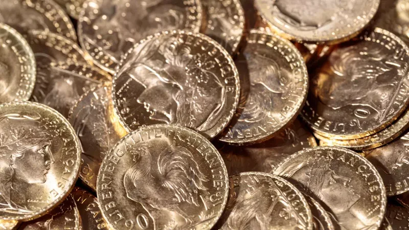 Një francez gjen 800 mijë dollarë flori në kopshtin e tij