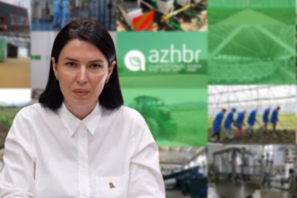 Skandali / AZHBR shpalli fitues projektin e babai të inspektores, vajza e firmosi