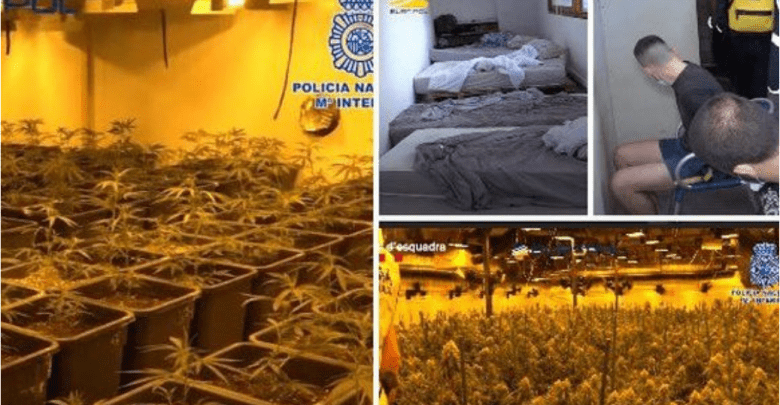 Zbulohet shtëpia e barit në Spanjë, arrestohet shqiptari
