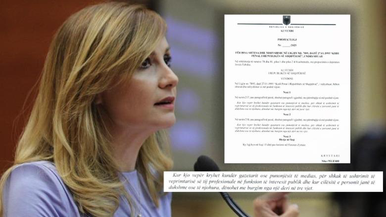 1 deri në 5 vjet burg për dhunuesit e gazetarëve, Tabaku propozon ndryshime në Kodin Penal