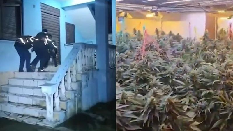 Zbulohet shtëpia e barit në Shkodër/ Arrestohet 22-vjeçari, në pranga dhe punonjësi i OSHEE