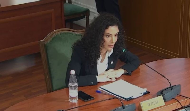 Kandidatja e Berishës për Avokatin e Popullit: Nuk kam dhënë dorëheqjen nga funksionet e mia në Partinë Demokratike