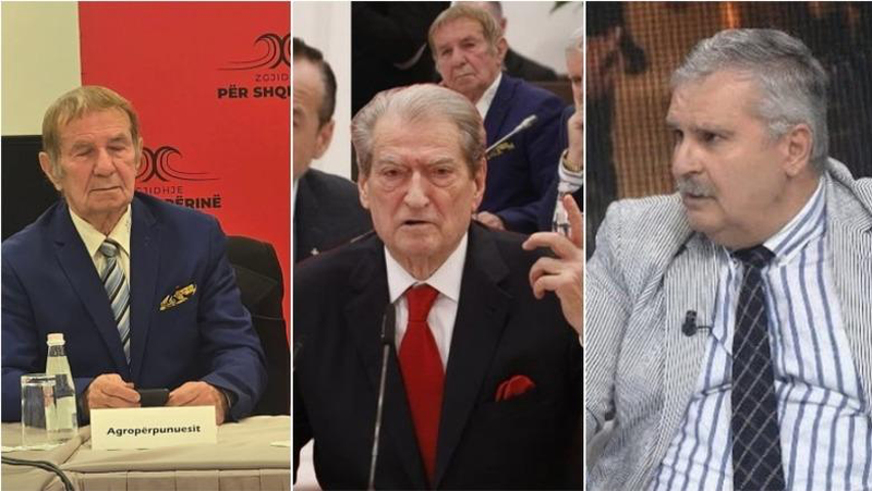 Armiku Salianji e aleati Gjuzi, PD ‘prish’ shtëpi e ndërto kasolle
