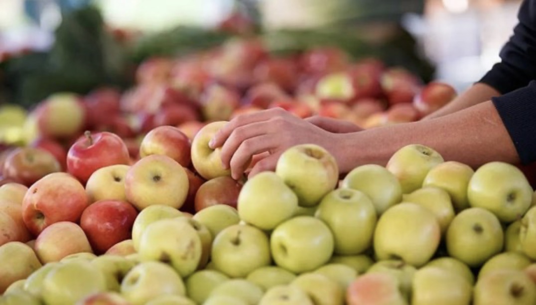 Alarm në Europë/ Mollët e kontaminuara me “kokteje pesticidesh”, çfarë zbulon studimi