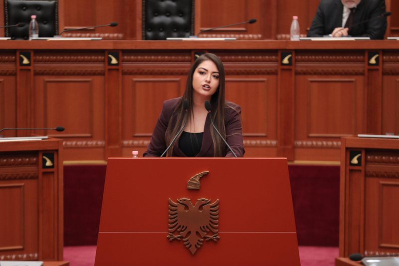 Deputetja e PS-së i kthehet Berishës, Mila: Evropa s’është foltore imagjinare