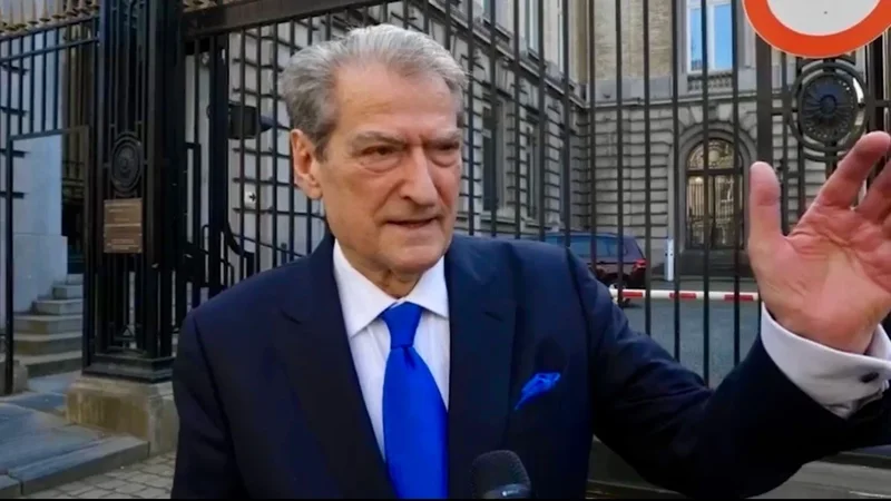 Berisha flet në trotuarin para parlamentit belg: Duam qeveri teknike