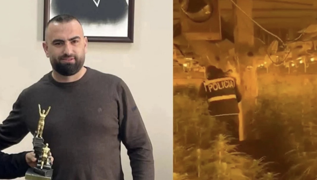U vetëdorëzua mbrëmjen e djeshme në polici pas akuzave për kultivim lëndësh narkotike, lirohet drejtori i burgut të Rrogozhinës