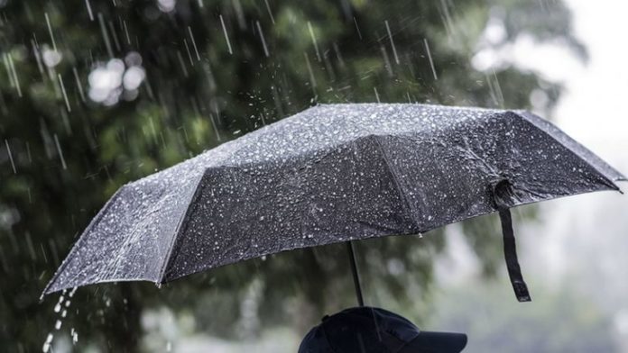 Reshje shiu në disa zona, parashikimi i motit për ditën e sotme