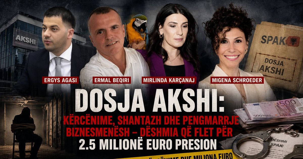 Dosja AKSHI/ ‘Ke hyrë në pishinë me peshkaqen…’. Rrëfimi në SPAK i shqiptaro-gjermanes që denoncoi aferat