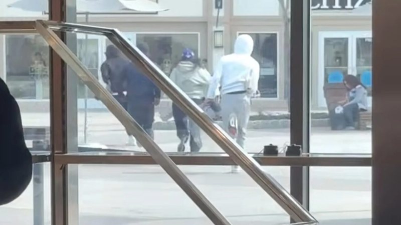 Grabitje spektakolare në dyqan Gucci, grupi me një grua vjedh 12 çanta luksoze
