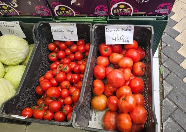 Domatja, mall luksi / Në Dubai kushtojnë më pak se në Tiranë