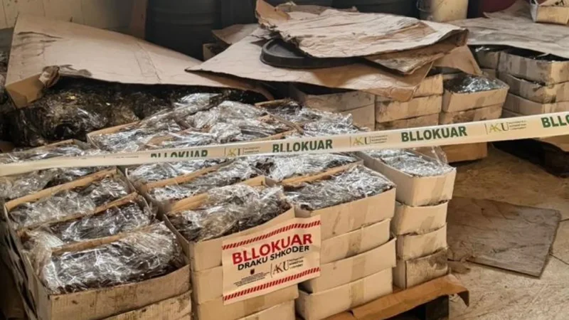 Babë e bir kanosën dy persona, policia i zbuloi biznesin me mbi 110 ton fruta-perime në Shkodër, sekuestrohen nga AKU: Nuk plotësonin kushtet higjeno-sanitare