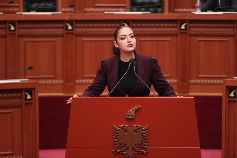 Protesta e PD / Sara Mila: Berisha kërkon të djegë Shqipërinë! Nxin vendin në sytë e botës