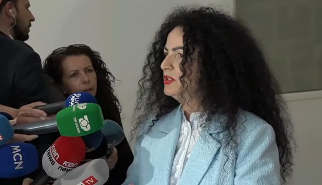 Efekti Mereme: Molotovi cinik i spinëve të Berishës në një ditë të keqe!