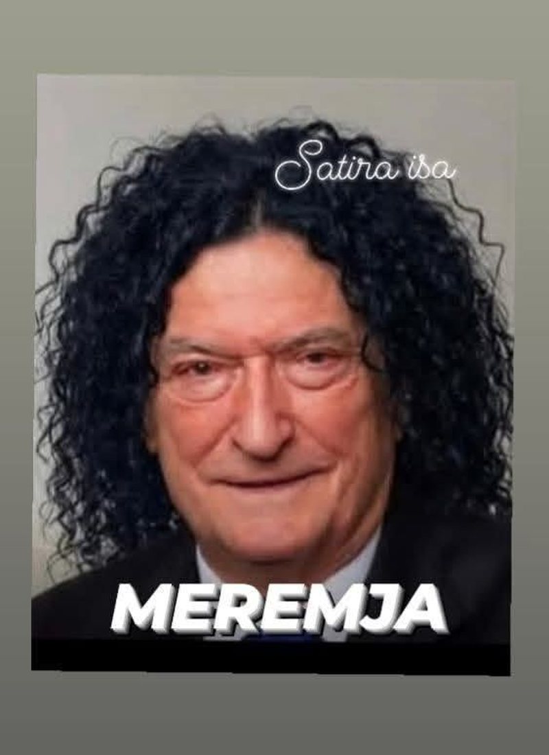FOTO/ Satira e rrjetit me garën në PD: Kush është Meremja në të vërtetë?