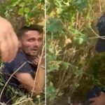 Momenti kur 27-vjeçari që i vuri sëpatën në fyt taksistit dhe e grabiti, kapet i fshehur mes shkurreve
