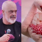 Rama mbush Facebook-un me… Flamingo