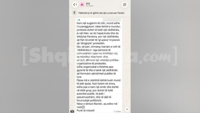 ‘Duhet një zëdhënës’, ja si shefi i zyrës së shtypit të PD Alfred Lela jep orientime për ‘protestën e pavarur’ në grupin me 512 anëtarë: Aq më mirë nëse tërbon Ramën