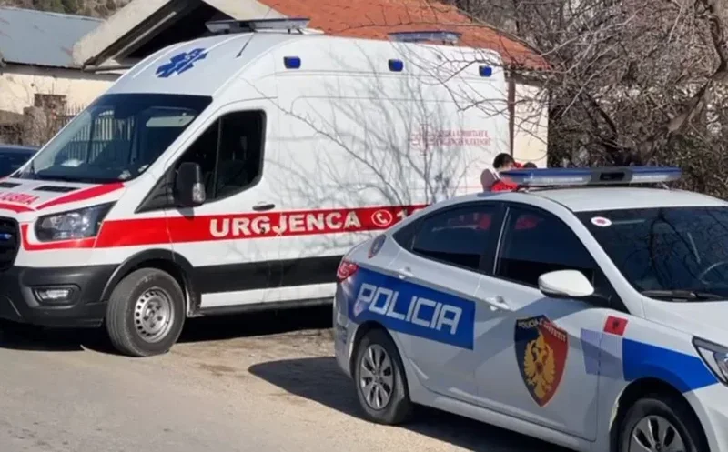 I moshuari dhunon gruan në Pogradec, vihet në pranga. 73-vjeçarja në gjendje të rëndë niset drejt spitalit të Traumës