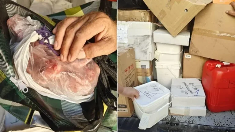 Bllokohet në Maltë ngarkesa me ushqime nga Shqipëria, autoritetet: Rrezik për shëndetin publik