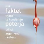 Fakte jashtë kanaleve të turbullta të internetit ose një pasqyrë për të gjithë përgojuesit e shtetit shqiptar