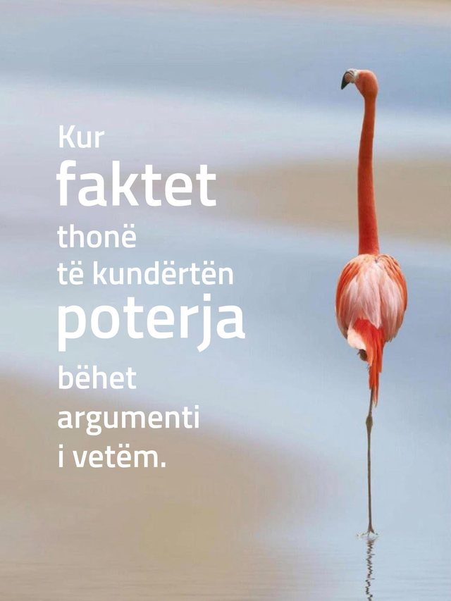 Fakte jashtë kanaleve të turbullta të internetit ose një pasqyrë për të gjithë përgojuesit e shtetit shqiptar
