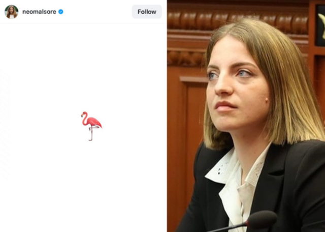 Pas largimit nga grupi socialist, Marjana Koçeku reagon për herë të parë, mjaftohet me simbolin e flamingos