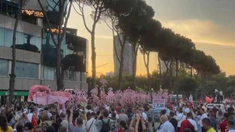 Flamingot ‘vijnë’ në protestë, paradë para kryeministrisë