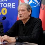 PD duartroket ata që po i sharrojnë degën ku është ulur