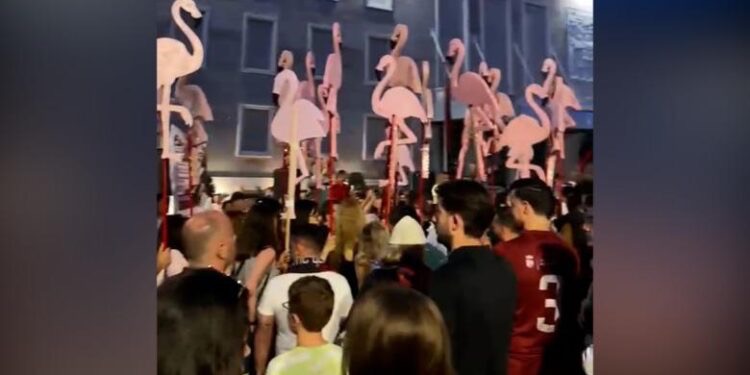 Revolucioni i flamingove dhe frika nga Perëndimi