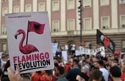 Rama pas revolucionit “flamingo”