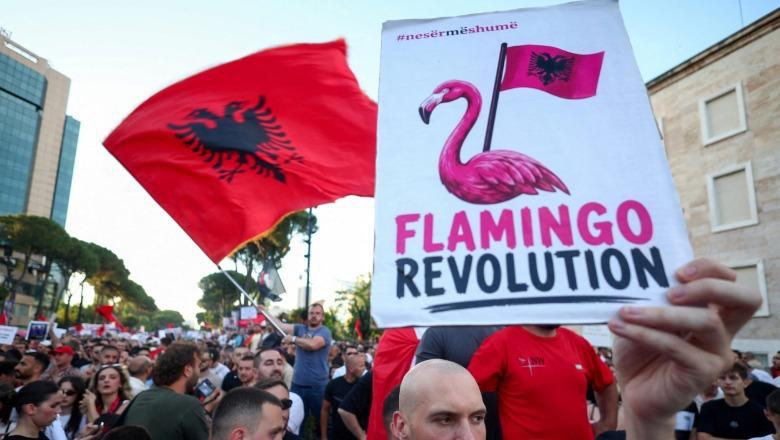 Flamingot e kinostudios “Shqipëria e re”