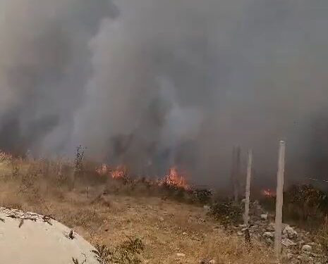Zjarri në kodrat e Vlorës, flakët afrohen pranë banesave, detajet e para