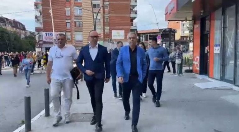Zgjedhjet e parakohëshme në Kosovë, Lista Serbe sërish voton në grup