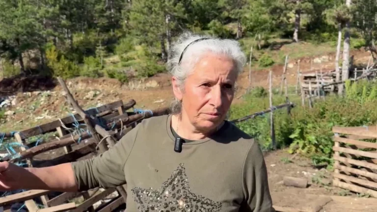 “Erdhi policia, i thashë”/ Flet nëna e Violand Braçellarit, vrasësit të efektivit Enea Mekolli